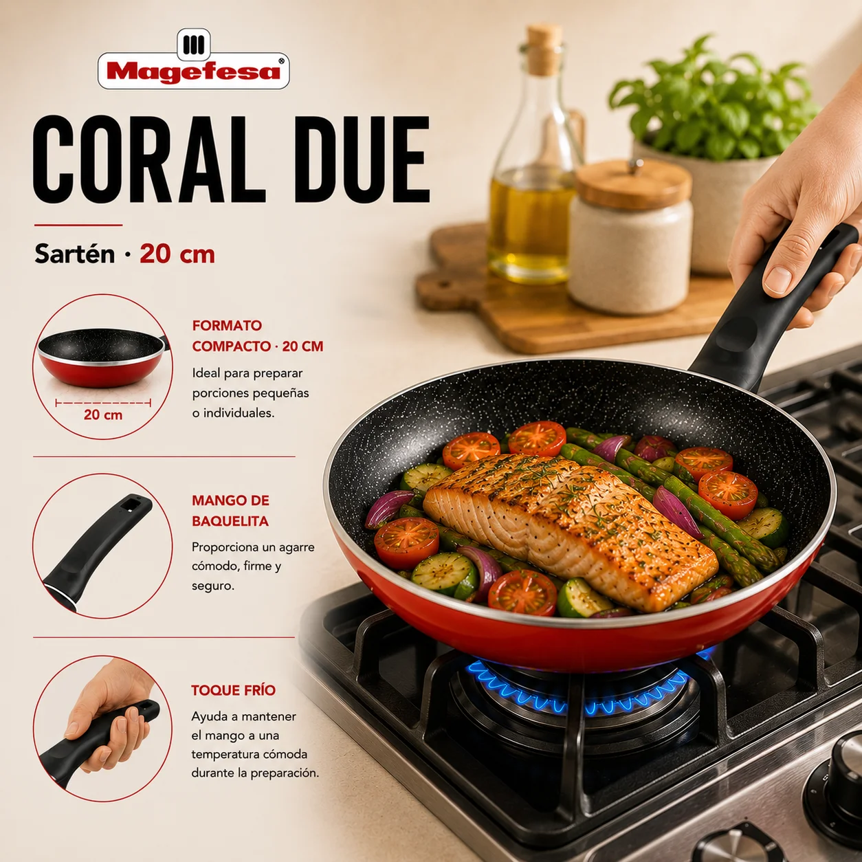 Compatibilidad de la Sartén Magefesa Coral Due Roja 20 cm